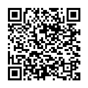 用他们的话说他们整个部落的人的命都是凌菲和青云救回来的二维码生成