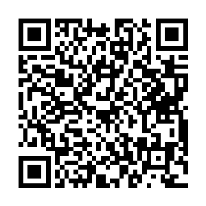 用匪夷所思的目光看着这第八个米斗里面露出来的泥土二维码生成