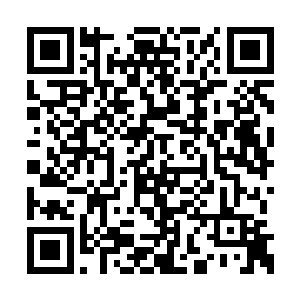 用各种形态的网络将所有个体都紧密联系在一起二维码生成