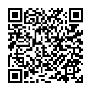 用某种出乎意料的理由掩盖住自己的真实想法就算胜利二维码生成