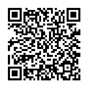 用法律面前人人平等这一条来开宗明义不更好吗二维码生成