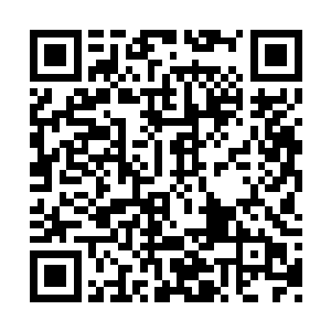 用眼神警告着那些打算要和他抢食儿的几个人时二维码生成