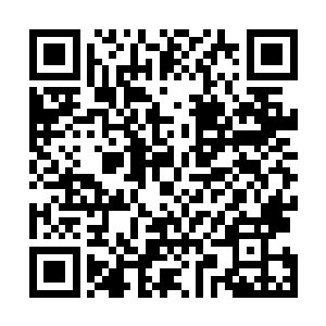 用神念冲着对方狠狠的一击――他的神念并不是强到逆天二维码生成