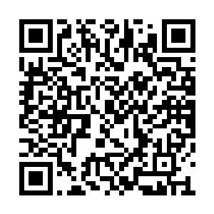 用细胞而不是晶片作为计算节点的一种特殊晶脑二维码生成