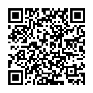 用自己的经验教训为丁长生的仕途铺平那些坑坑洼洼二维码生成