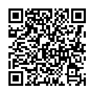 用藤网兜着一堆能量武器出现在了正在铺路的原战等人面前二维码生成