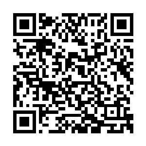 用血腥残忍的手段抽掉魔族男爵手上的两条大筋二维码生成