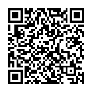用金钱将一大群正处于或曾经处于社会中上层的人聚集起来二维码生成