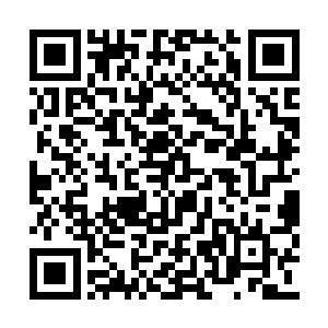 田下居然只用了两天就瓦解了毒童的一半势力啊二维码生成