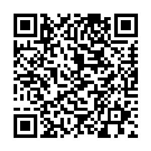 田伯涛这个孙子在我店里光吃饭就吃了两万块钱的了二维码生成