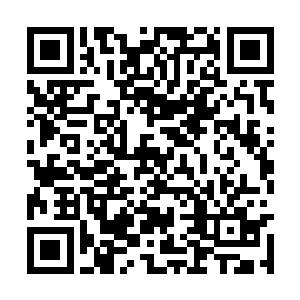 田鄂茹像是泄了气的皮球一样坐在沙发上一言不发二维码生成