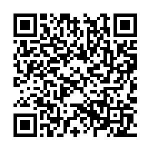 由于单馆票房和总体票房皆跌破院线方的心理底线二维码生成