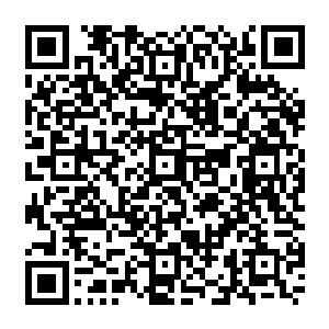 由于司空雨浩身后表情已经怒了的俩执法者机器人和它眼眶中不停闪着的警告红光和警告声二维码生成