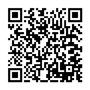 由于呼延家族和李氏家族都在靠近呼啸山脉这个区域二维码生成