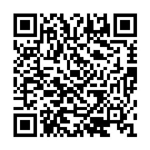 由于女生宿舍楼一二三四楼都被赵虎清理了一遍二维码生成