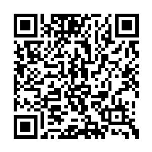 由于年欣然是闭着眼睛并没有看到梁佳佳的举动二维码生成