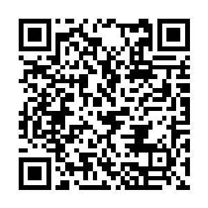 由于这次获胜的文武状元还能参加接下来驸马选举二维码生成