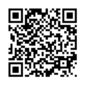 由于那些家伙在林地中进行着各种纠缠二维码生成