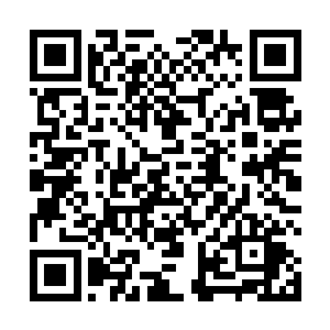 由于阿尔戈多之前针对机器人和智脑采取的一系列举动二维码生成