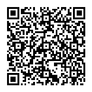 由南航负责飞机的维护保养等服务以及出行时提供机组人员协调机场等等相关服务二维码生成