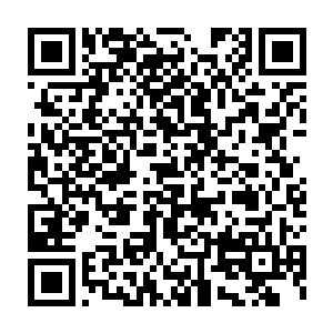 由天元大陆上的数名达到圣帝的盖世强者硬生生从地底中拔起来的二维码生成