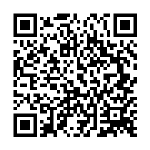 由岛国山口组扶植的养魂组很可能就会在夹河市发展壮大二维码生成