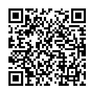 由我们控制的傀儡大军已经部署在了金晶塔的外围二维码生成