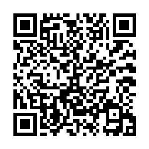 由林封正式将一面绣有第一步兵旅字样的军旗隆重的递给他二维码生成