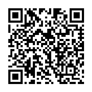由楠木构建的墙壁上已经被掌力破开了一个方圆半丈的大洞二维码生成