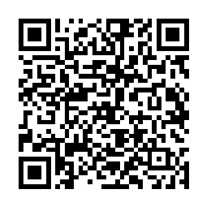 由此就可以看出来不见这半年的日子过的有多舒坦二维码生成