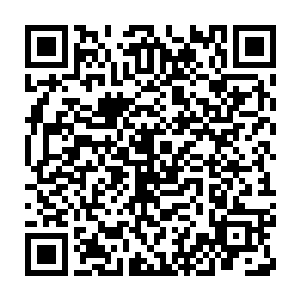 由纳什基尔大人批准取消了由于非伤害罪被通缉的黑星人的通缉令二维码生成