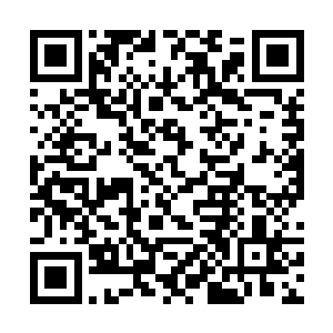 由西洱城与我拉图镇年轻一辈强者共同参与的大乱斗二维码生成