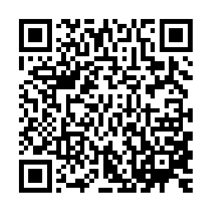 由轩辕诗画率领侦察能力极强的弓腰姬和学识广博的熊飞扬打头二维码生成