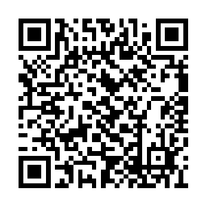 申家老太太今天能够获取黄金山五大家族的机密二维码生成