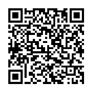 电影很大一部分的基本票房应该是来自于原著粉丝二维码生成