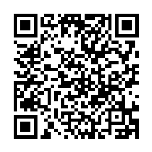 电影的哈维先生在正确的时间以正确的方式突然死去二维码生成