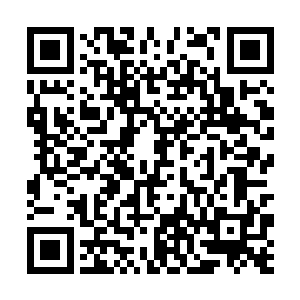 电梯顶上的不知名的尸兄眼见着自己的猎物就要逃脱二维码生成