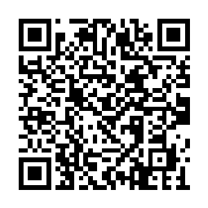 电脑高手李宏正在和一名西方国际黑客斗智斗勇二维码生成