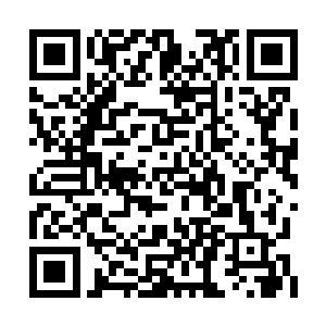 电视和电台的谈话节目自然不愿意放过这个机会二维码生成