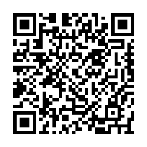 电视转播似乎也知道这个时候大家最关心的是谁二维码生成