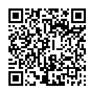 电话那头的人见陆导光替张虹说话没替韩其远说话二维码生成