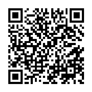 电鸣皇已经感应到自己的拳头受到了莫大的阻力二维码生成