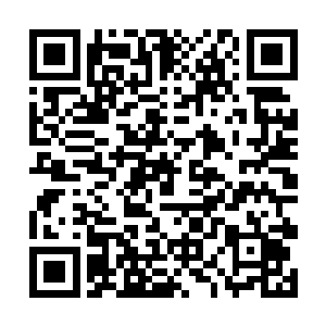 男人玻璃珠一样通透的褐色眼睛静静凝视了石头片刻二维码生成