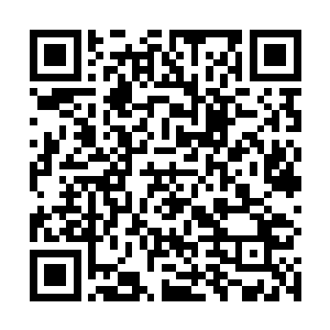 男工作人员所说的斯密特叮咬疼痛指数一共分分为十级二维码生成