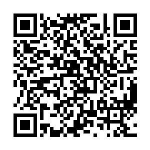 男性与四十以上的女性以及奇丑的女性全部押到海边枪毙二维码生成