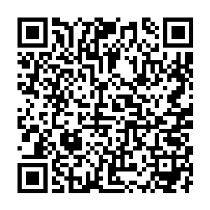 画面上有无数个穿着普通的姑娘在机场快速经过边检的监控画面照片二维码生成