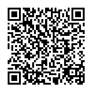 画面中的那瘟疫位面过来的那些病毒形成的风暴正在以肉眼可见的速度在减少二维码生成