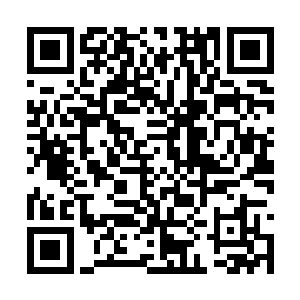 留下来的书籍和造船的草图都要在沿海才能用得上二维码生成