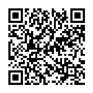 留下这家伙孤零零的带着七个人质躲在一个浅洼地二维码生成