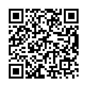 留在璃城的父亲和兄长们也不遑多让二维码生成